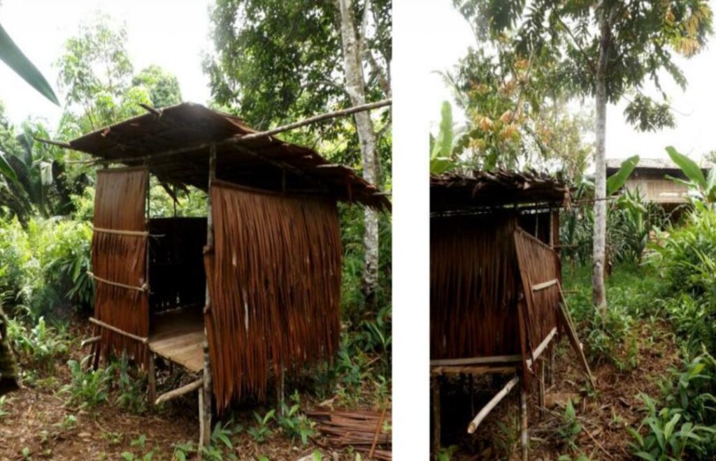 Whatsapp image 20260606 at 18 36 25 catrawarta Two photos of a small rustic hut built from bamboo and palm fronds in a lush tropical garden nearby trees and plants